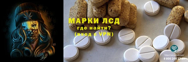 прущие грибы Алексеевка