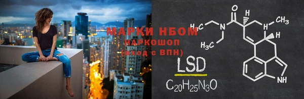 прущие грибы Алексеевка