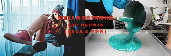 индика Алексин