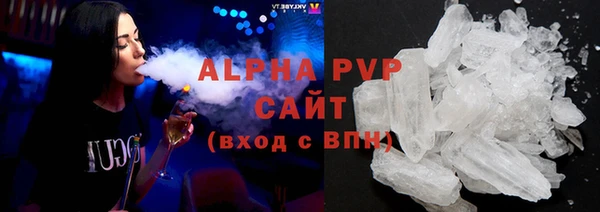 индика Алексин