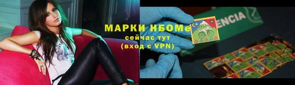 индика Алексин