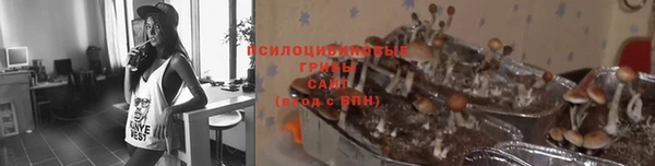 шишки Алзамай