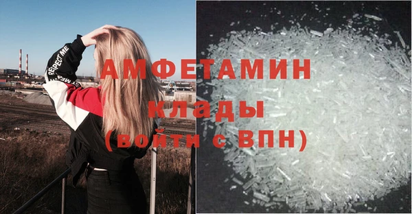 прущие грибы Алексеевка