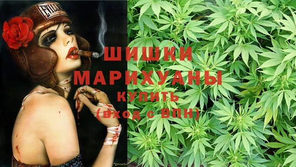 шишки Алзамай