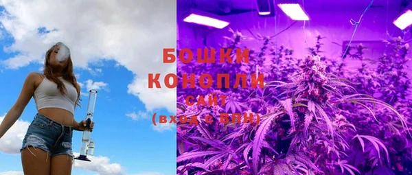 шишки Алзамай