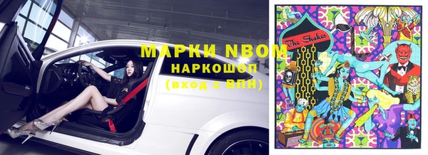 шишки Алзамай