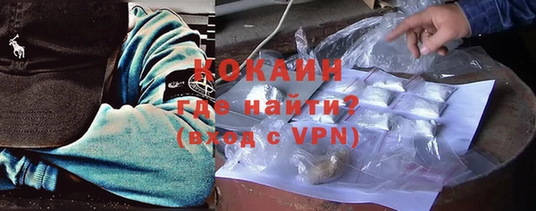 индика Алексин