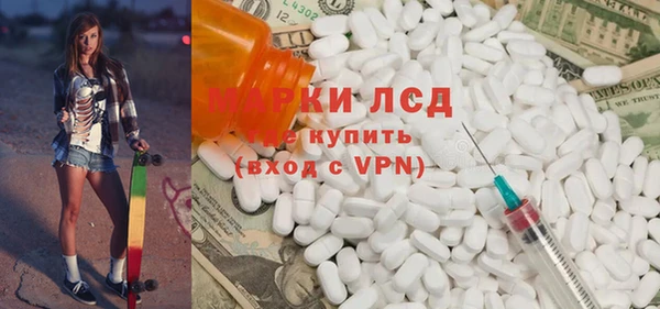 индика Алексин