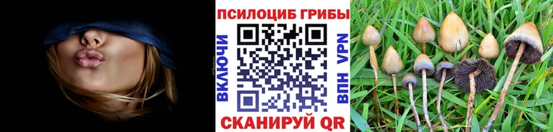 Псилоцибиновые грибы Psilocybe  купить наркотик  Ачинск 