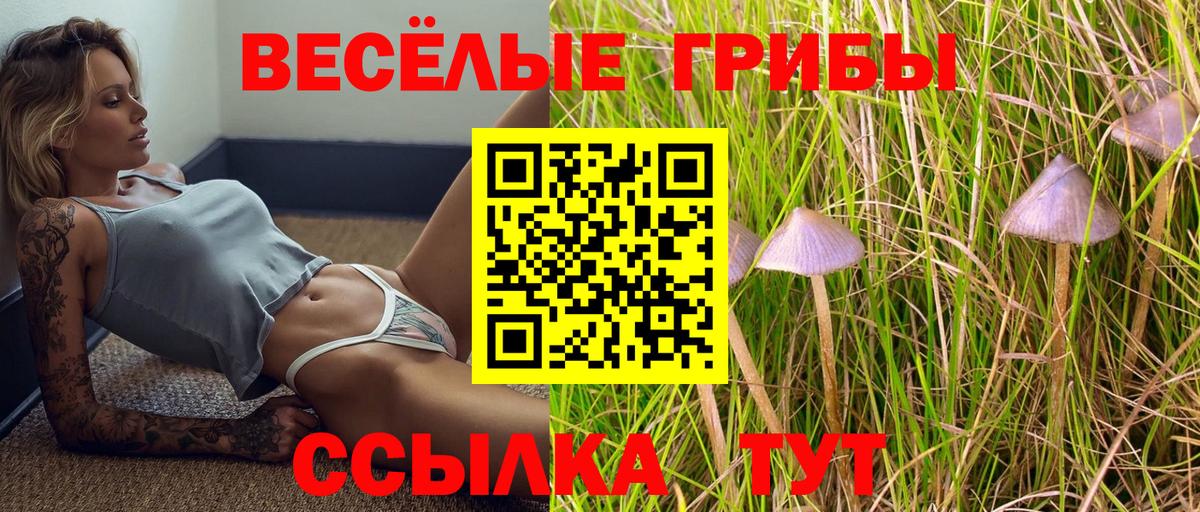 Ачинск  Галлюциногенные грибы Psilocybine cubensis  Галлюциногенные грибы прущие грибы  Вход с VPN 