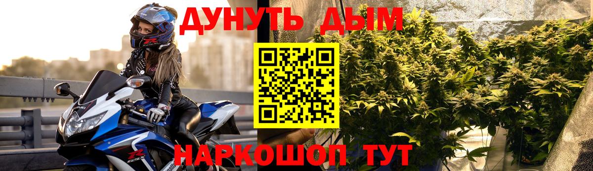 Канабис планчик Ачинск